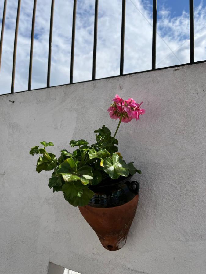Apartament Atico Centro 17 Jerez de la Frontera Zewnętrze zdjęcie